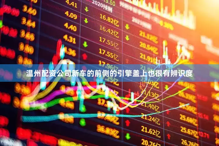 温州配资公司新车的前侧的引擎盖上也很有辨识度