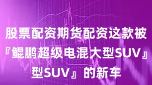 股票配资期货配资这款被定位为『鲲鹏超级电混大型SUV』的新车