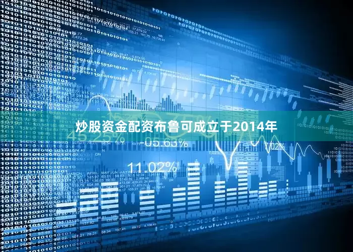 炒股资金配资布鲁可成立于2014年