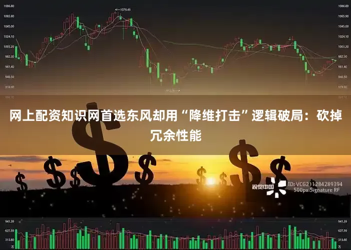网上配资知识网首选东风却用“降维打击”逻辑破局：砍掉冗余性能