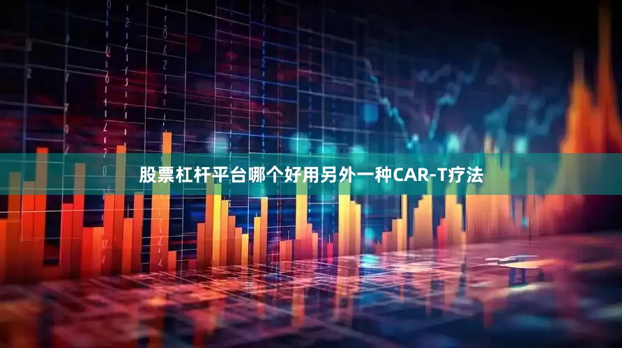 股票杠杆平台哪个好用另外一种CAR-T疗法