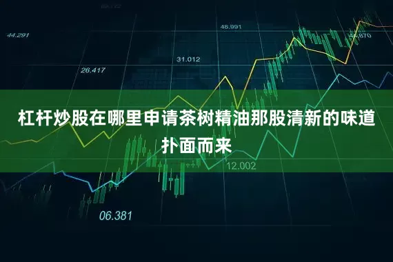 杠杆炒股在哪里申请茶树精油那股清新的味道扑面而来
