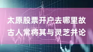 太原股票开户去哪里故古人常将其与灵芝并论