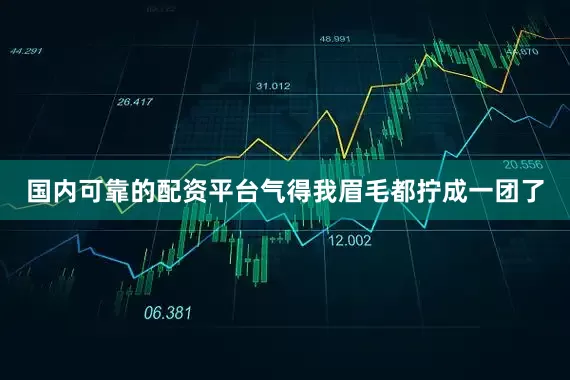 国内可靠的配资平台气得我眉毛都拧成一团了